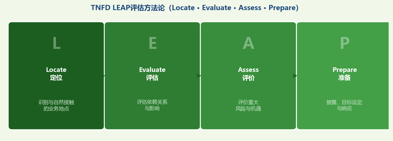 TNFD LEAP四步评估方法论